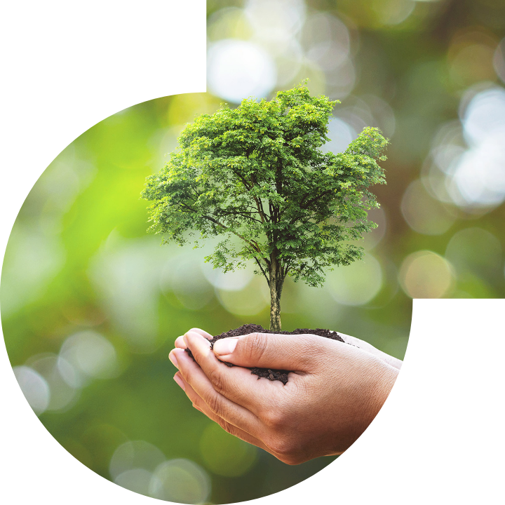 關懷人類、文化、環境與社會